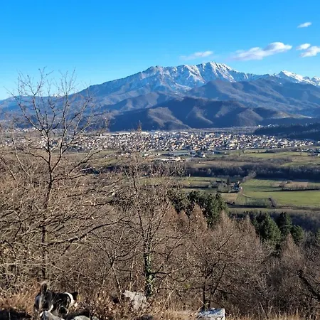 La Primula Borgo San Dalmazzo