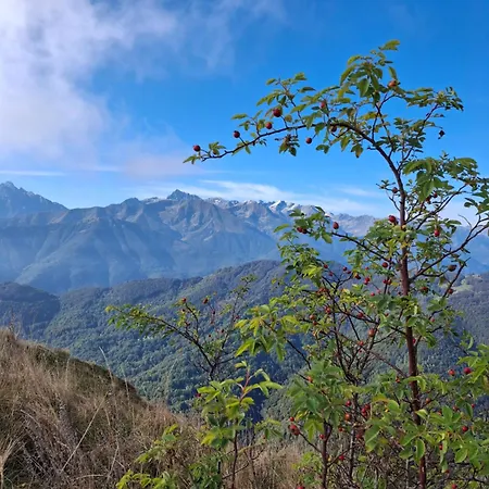 Otel La Primula Borgo San Dalmazzo