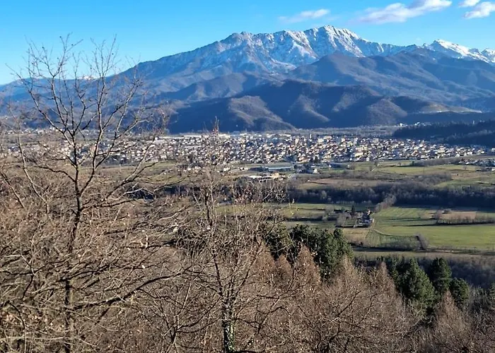 La Primula Borgo San Dalmazzo